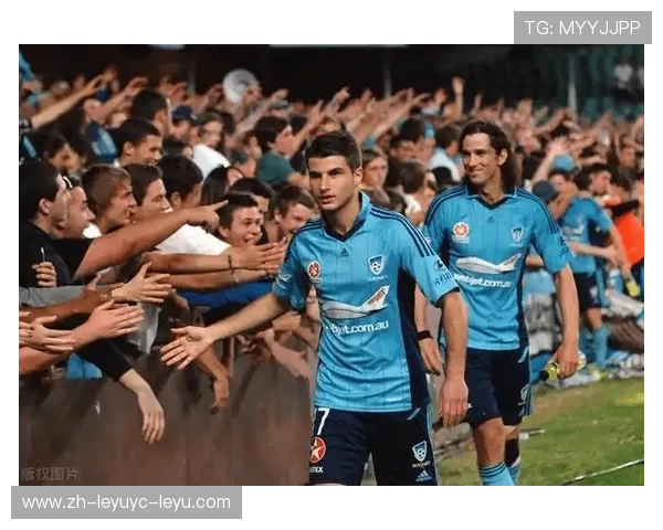 法甲马赛球迷现场观看场次统计分析